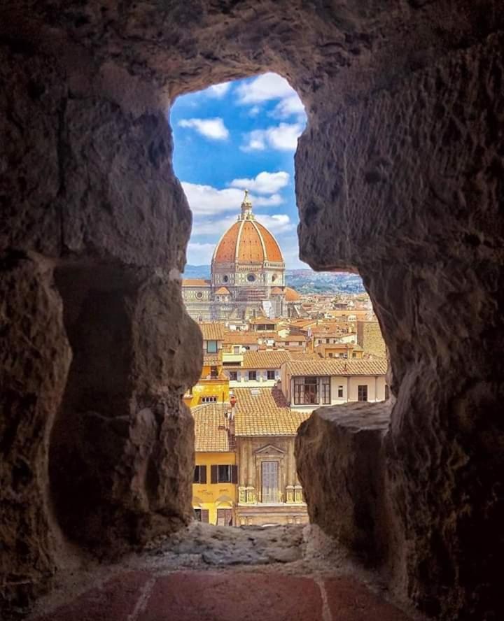 Violet 27 * Florencia